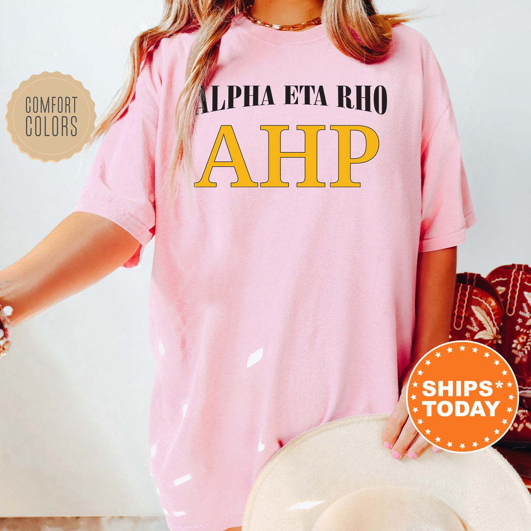 Alpha Eta Rho Greek Identity COED T-Shirt | Alpha Eta Rho Shirt | Comfort Colors Tee | Greek Letters | Sorority Letters _ 15413g