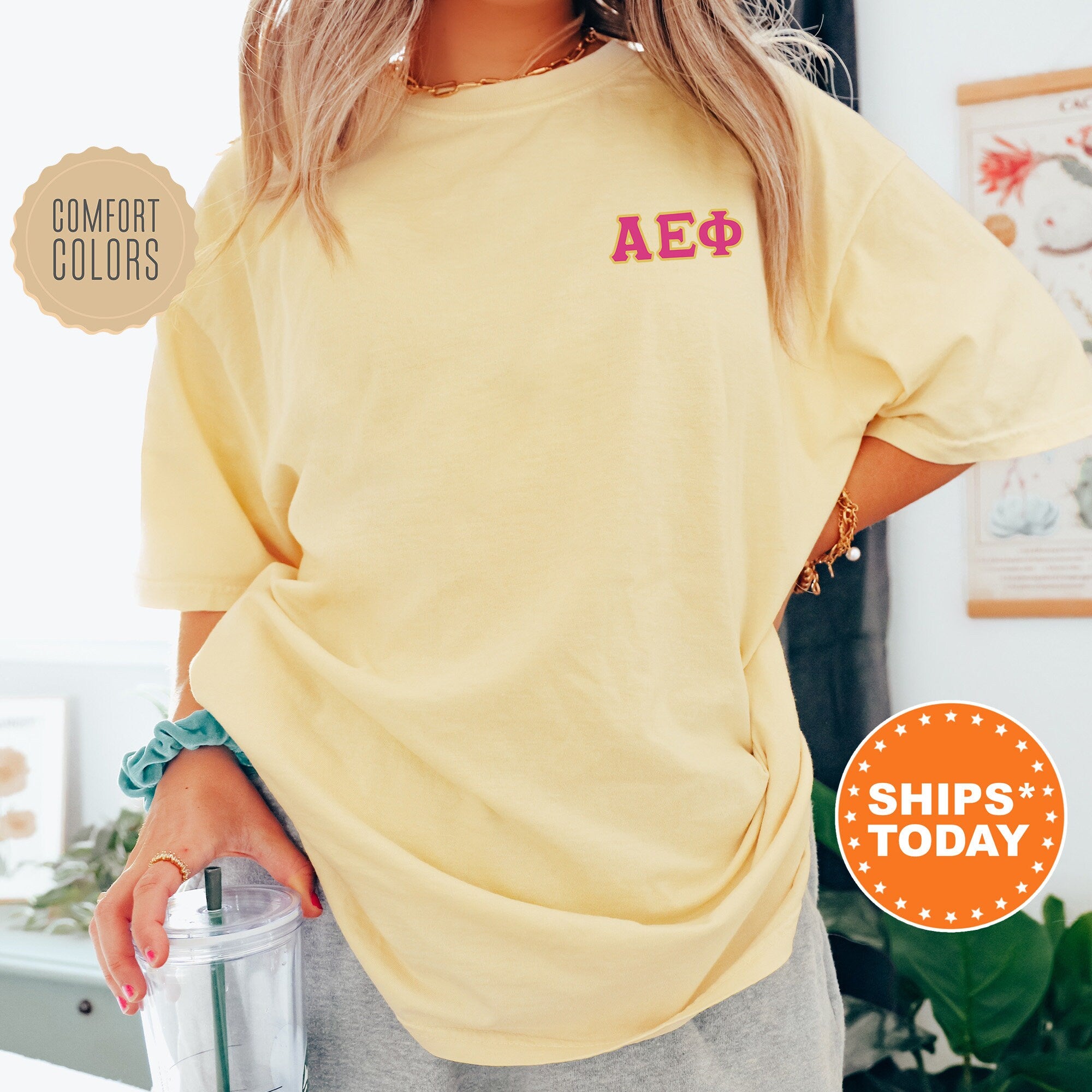 Alpha Epsilon Phi Red Letters Sorority T-Shirt | AEPhi Left Chest Graphic Tee Shirt | Comfort Colors Shirt | Greek Letters _ 17517g