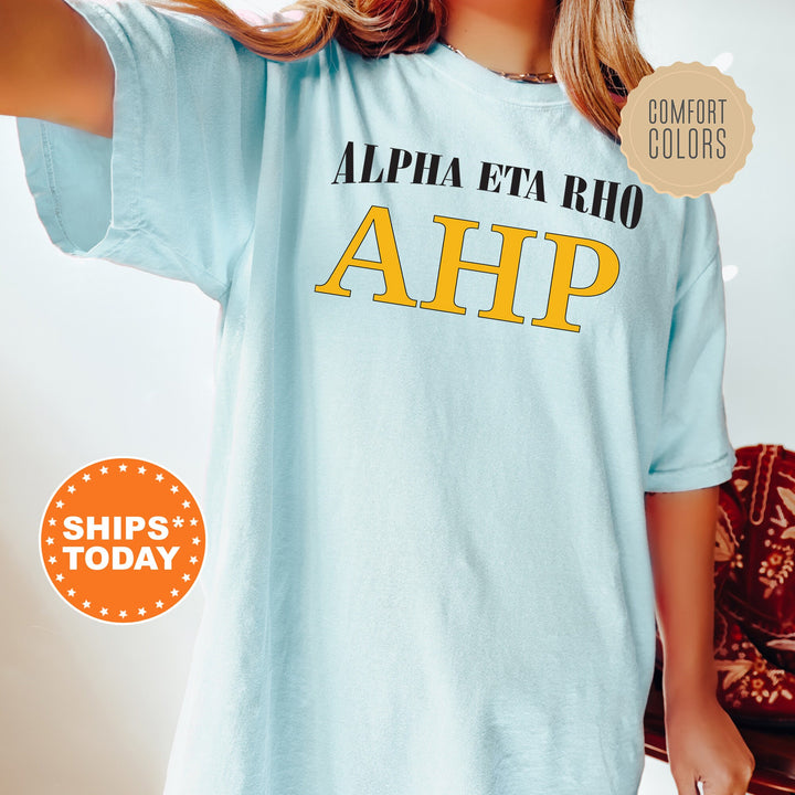 Alpha Eta Rho Greek Identity COED T-Shirt | Alpha Eta Rho Shirt | Comfort Colors Tee | Greek Letters | Sorority Letters _ 15413g