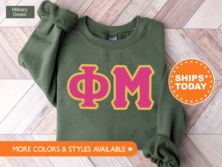 Phi Mu Pink and Gold Sorority Sweatshirt | Phi Mu Crewneck Sweatshirt | Phi Mu Greek Letters | Phi Mu Hoodie | Big Little Reveal _ 5278g