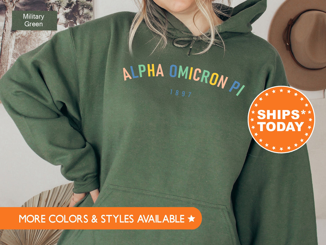 Alpha Omicron Pi Retro and Year Sorority Sweatshirt | Alpha O Retro Sweatshirt | Sorority Hoodie | Big Little Reveal | Sorority Gift _ 8220g