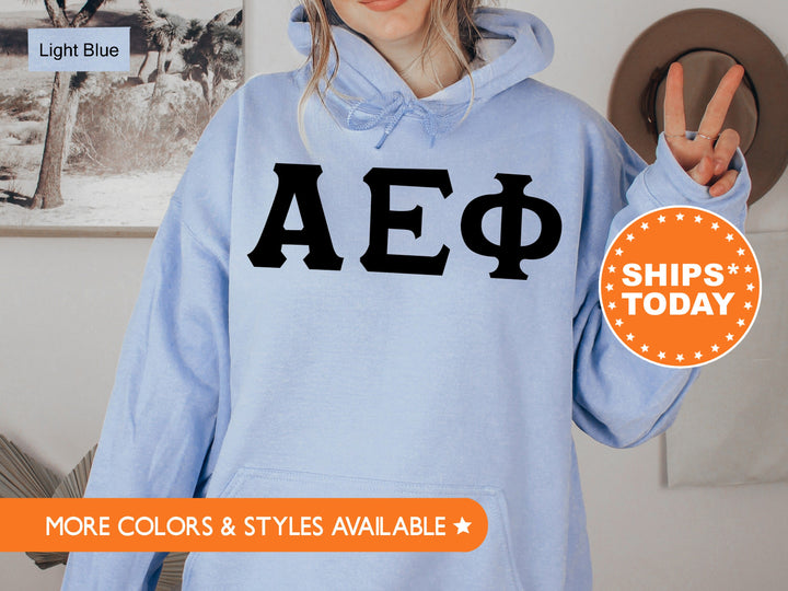 Alpha Epsilon Phi Super Simple Sorority Sweatshirt | AEPHI Greek Letter Sweatshirt | Sorority Letters | Big Little | College Apparel