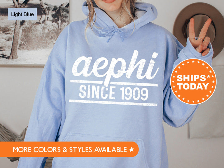 Alpha Epsilon Phi Faded Traditional Sorority Sweatshirt | AEPHI Sorority Hoodie | Big Little Sorority Gifts | Greek Sweatshirt _ 7178g