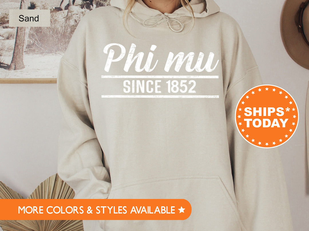 Phi Mu Faded Traditional Sorority Sweatshirt | Phi Mu Sorority Hoodie | Big Little Reveal | Sorority Gifts | Greek Sweatshirt _ 7194g