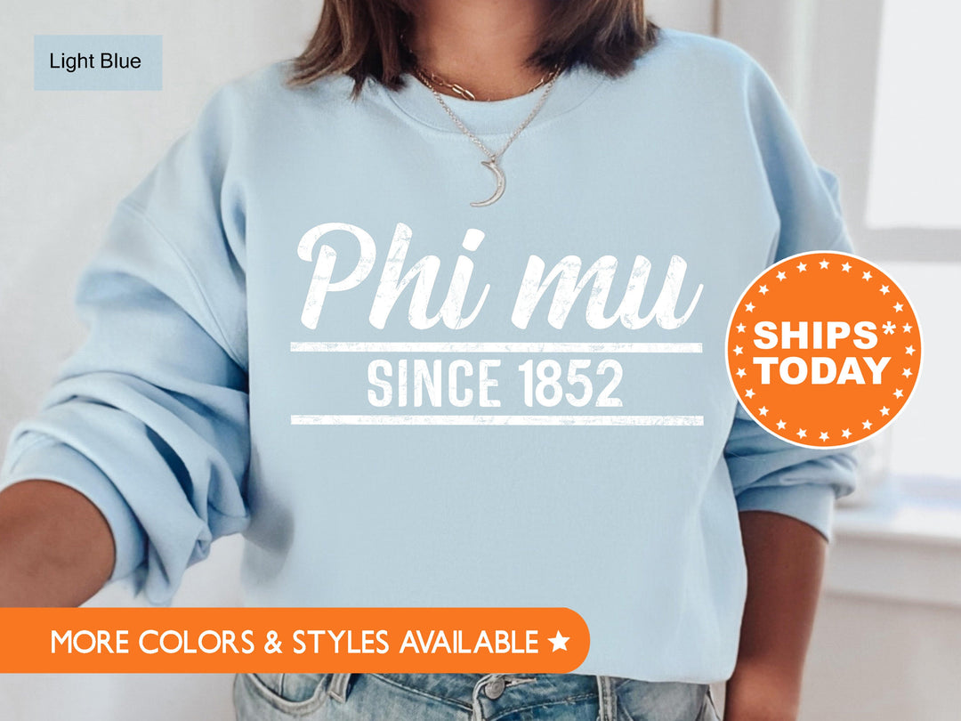 Phi Mu Faded Traditional Sorority Sweatshirt | Phi Mu Sorority Hoodie | Big Little Reveal | Sorority Gifts | Greek Sweatshirt _ 7194g