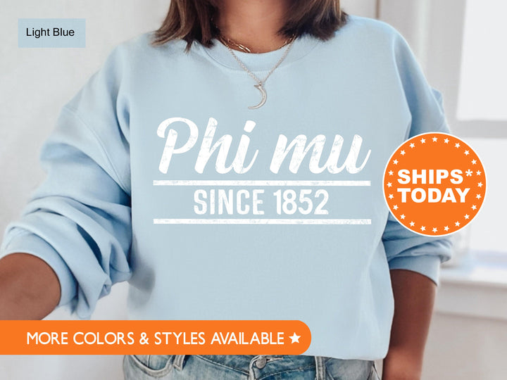 Phi Mu Faded Traditional Sorority Sweatshirt | Phi Mu Sorority Hoodie | Big Little Reveal | Sorority Gifts | Greek Sweatshirt _ 7194g