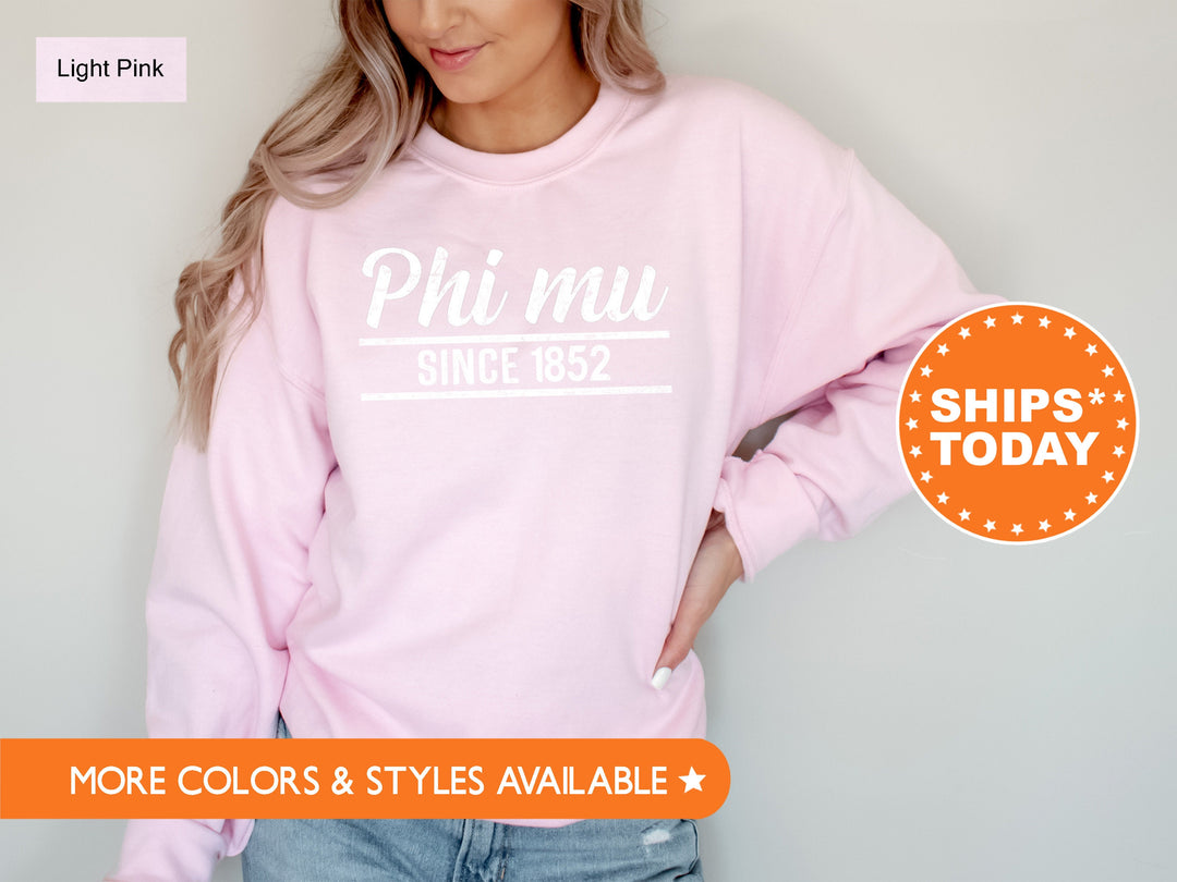 Phi Mu Faded Traditional Sorority Sweatshirt | Phi Mu Sorority Hoodie | Big Little Reveal | Sorority Gifts | Greek Sweatshirt _ 7194g