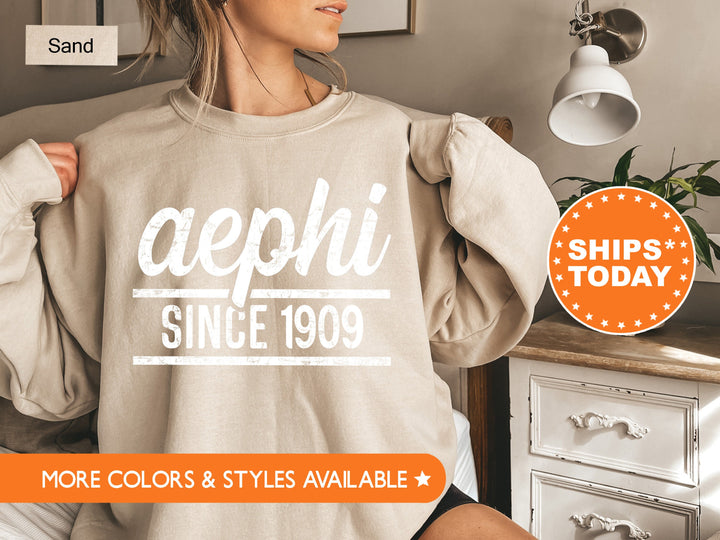Alpha Epsilon Phi Faded Traditional Sorority Sweatshirt | AEPHI Sorority Hoodie | Big Little Sorority Gifts | Greek Sweatshirt _ 7178g