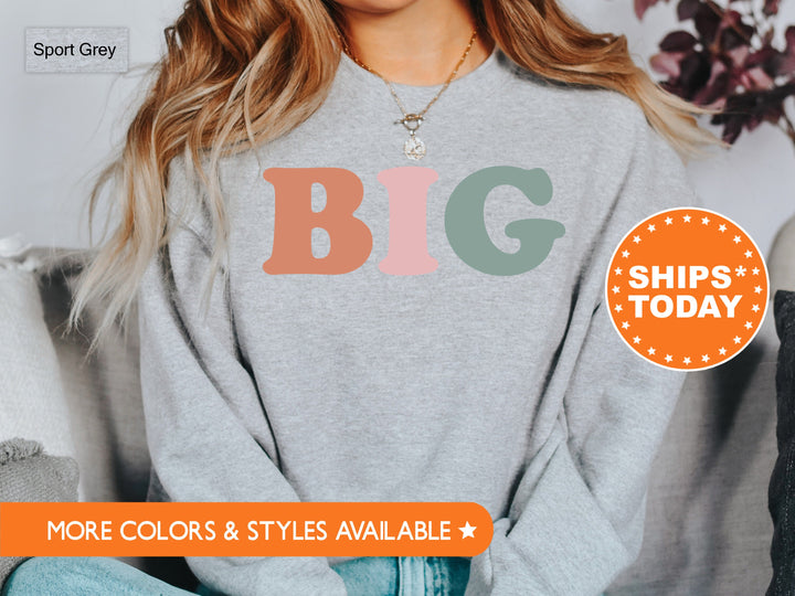 Big Little GBig GGBig Pastel Tints Sorority Sweatshirt | Big Little Reveal Gifts | Big Little Family Sweatshirt | Sorority Apparel _ 101