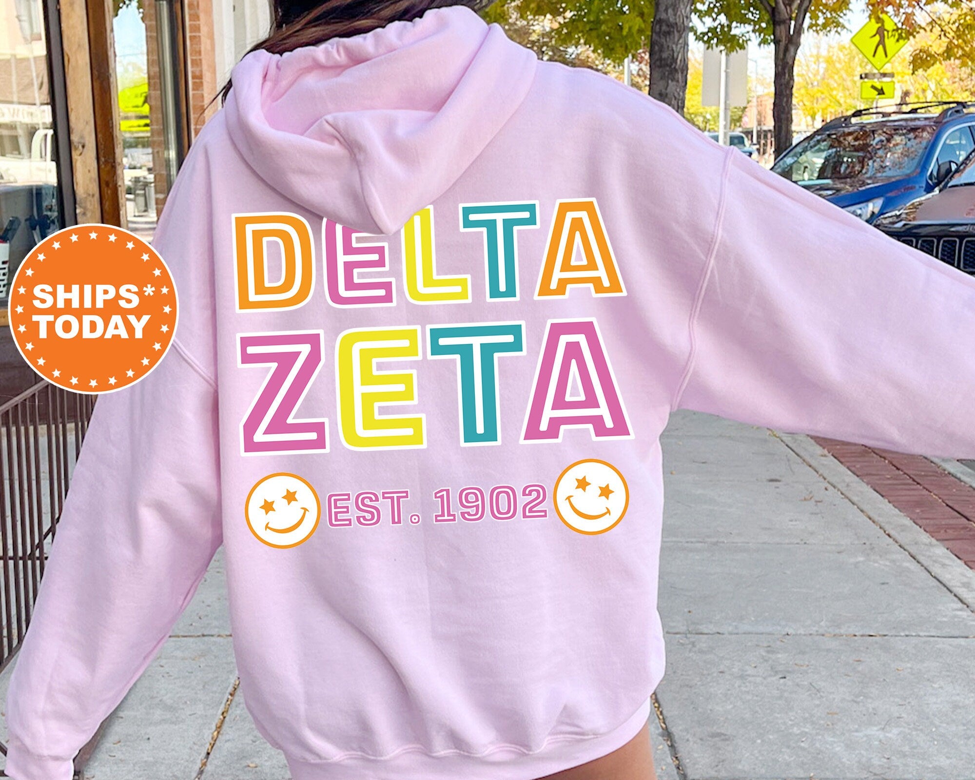 Delta Zeta Frisky Script Sorority Sweatshirt | Delta Zeta Sweatshirt | Dee Zee Merch | Greek Apparel | Big Little Sorority Gift _ 14024g