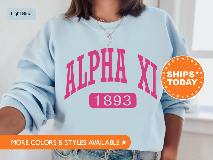 Alpha Xi Delta Pink Baseball Sorority Sweatshirt | AXID Sorority Merch | Alpha Xi Hoodie | Big Little Reveal Gift | Sorority Gifts