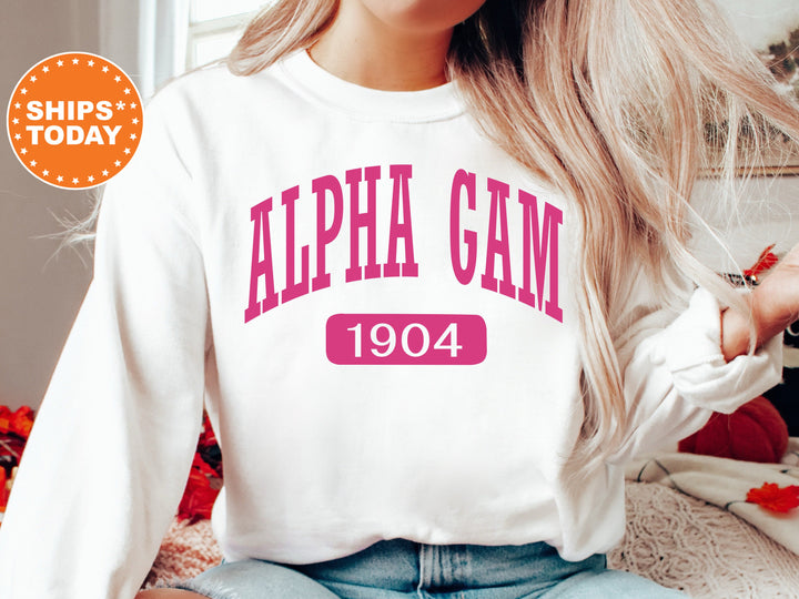 Alpha Gamma Delta Pink Baseball Sorority Sweatshirt | Alpha Gam Sweatshirt | AGD Sorority Hoodie | Big Little Gift | Greek Apparel