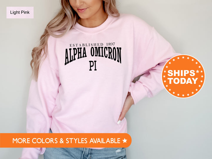 Alpha Omicron Pi Founding Sorority Sweatshirt | Alpha Omicron Pi Hoodie | Alpha O Sweatshirt | AOPi Greek Apparel | Big Little Gift _ 5446g