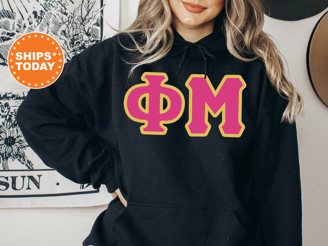 Phi Mu Pink and Gold Sorority Sweatshirt | Phi Mu Crewneck Sweatshirt | Phi Mu Greek Letters | Phi Mu Hoodie | Big Little Reveal _ 5278g