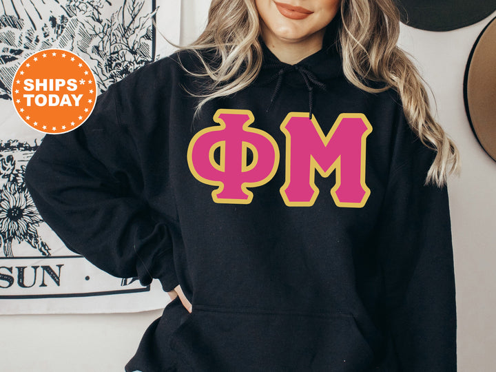 Phi Mu Pink and Gold Sorority Sweatshirt | Phi Mu Crewneck Sweatshirt | Phi Mu Greek Letters | Phi Mu Hoodie | Big Little Reveal _ 5278g