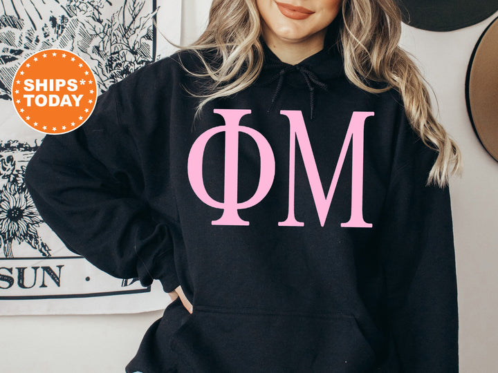 Phi Mu Just the Letters Sorority Sweatshirt | Phi Mu Greek Letters | Phi Mu Sorority Letters | Big Little Reveal | Greek Apparel _ 5148g