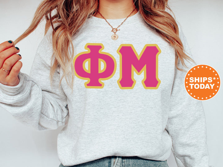 Phi Mu Pink and Gold Sorority Sweatshirt | Phi Mu Crewneck Sweatshirt | Phi Mu Greek Letters | Phi Mu Hoodie | Big Little Reveal _ 5278g