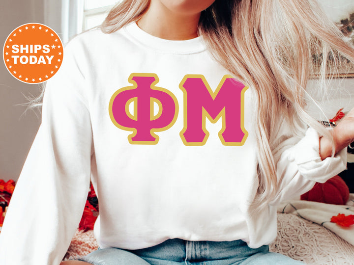 Phi Mu Pink and Gold Sorority Sweatshirt | Phi Mu Crewneck Sweatshirt | Phi Mu Greek Letters | Phi Mu Hoodie | Big Little Reveal _ 5278g