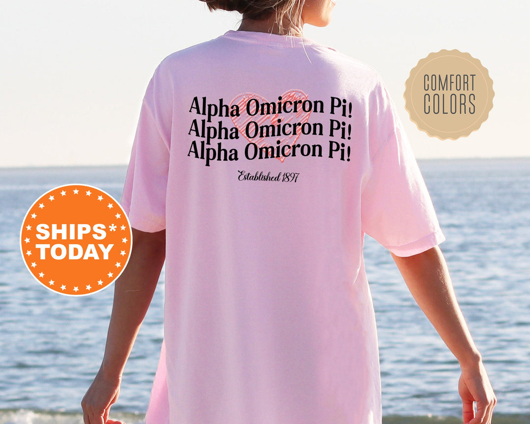 Alpha Omicron Pi Balloon Bliss Sorority T-Shirt | Sorority Gifts | Big Little Reveal | Alpha O Comfort Colors Shirt _ 13688g
