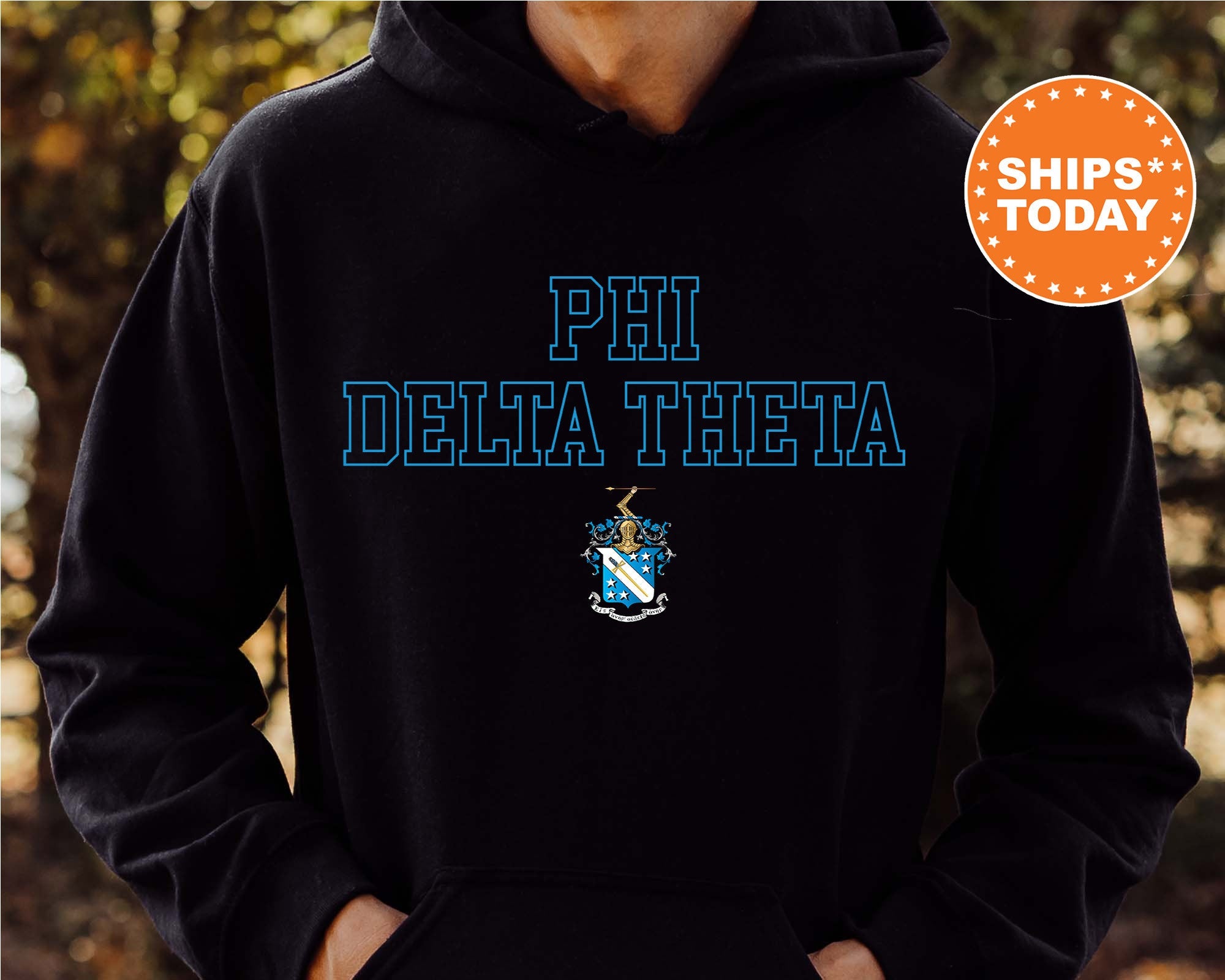 Phi Delta Theta Iconic Tag Fraternity Sweatshirt | Phi Delt Hoodie | Greek Apparel | Bid Day Gift | Phi Delt Crewneck Sweatshirt _ 11004g