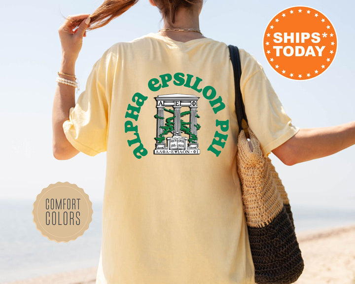 Alpha Epsilon Phi Sorority Style Sorority T-Shirt | AEPHI Sorority Crest | Sorority Gifts | Comfort Colors Shirt | Sorority Merch _ 9364g