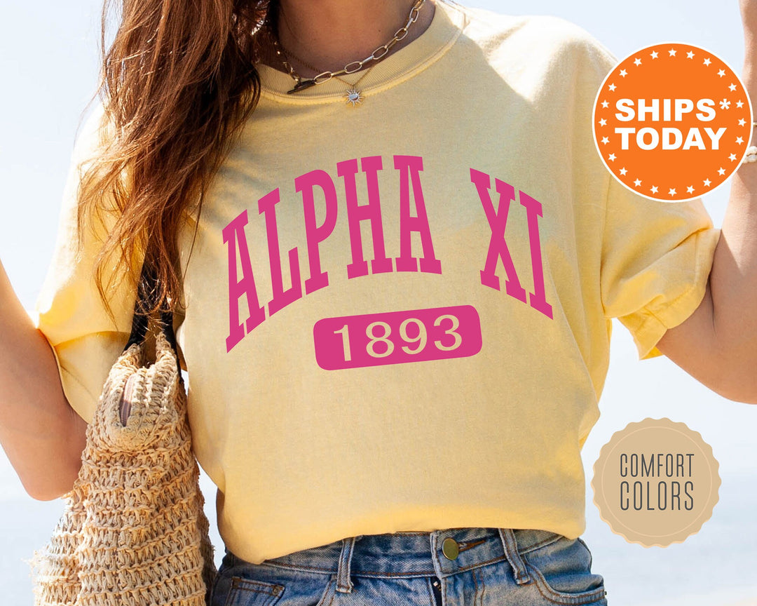 Alpha Xi Delta Pink Baseball Comfort Colors Sorority T-Shirt | AXID Comfort Colors Shirt | Alpha Xi Gameday Shirt | Sorority Gifts _ 5242g