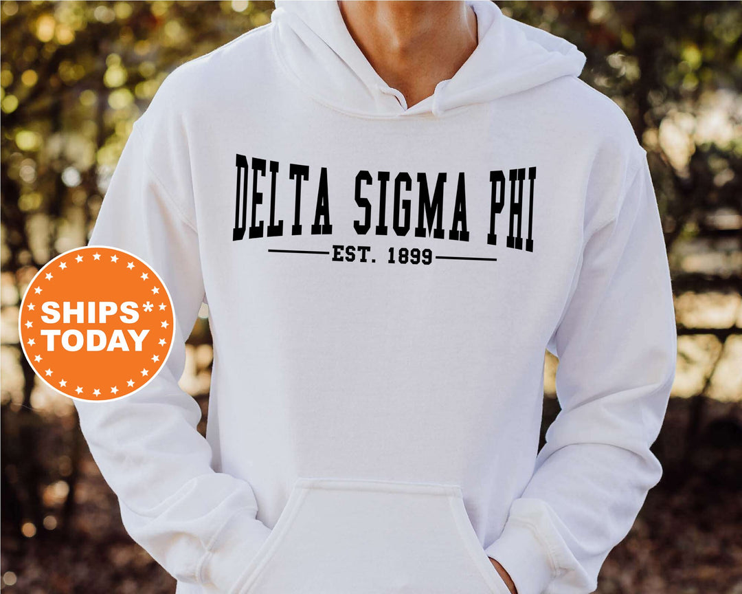 Delta Sigma Phi Concave Fraternity Sweatshirt | Delta Sig Hoodie | Custom Greek Apparel | College Sweatshirt | Gifts For Him _ 6579g