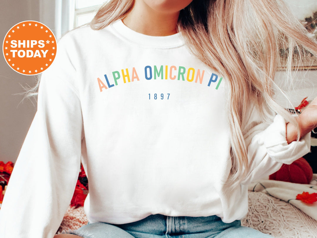 Alpha Omicron Pi Retro and Year Sorority Sweatshirt | Alpha O Retro Sweatshirt | Sorority Hoodie | Big Little Reveal | Sorority Gift _ 8220g