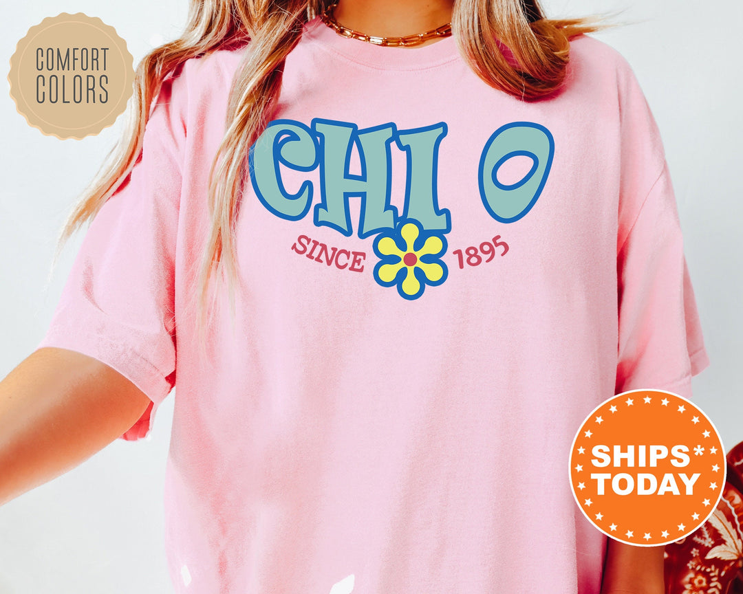 Chi Omega Outlined In Blue Sorority T-Shirt | Chi O Comfort Colors T-Shirt | Big Little Sorority Gift | Greek Custom Shirt _ 7835g