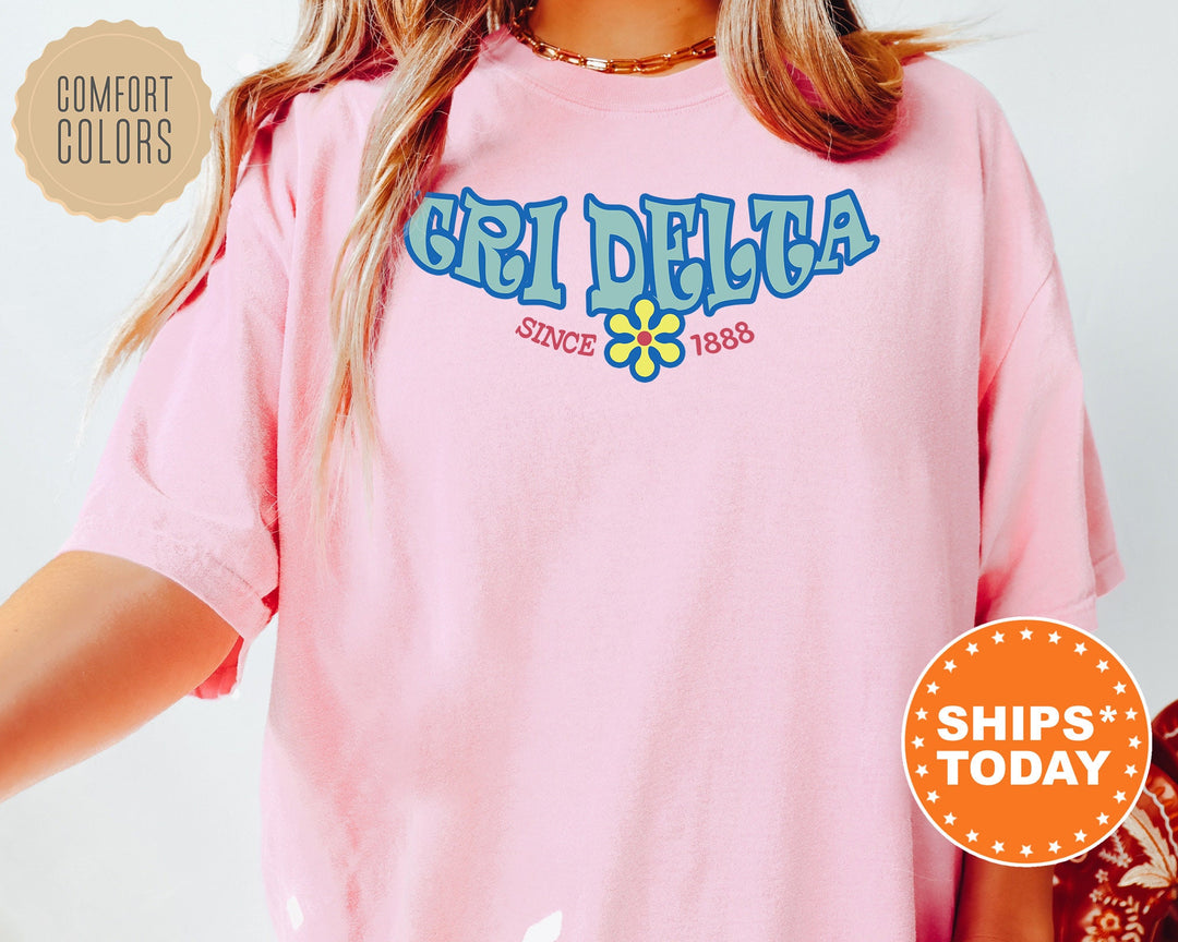 Delta Delta Delta Outlined In Blue Sorority T-Shirt | Tri Delta Comfort Colors T-Shirt | Big Little Gift | Greek Custom Shirt _ 7836g