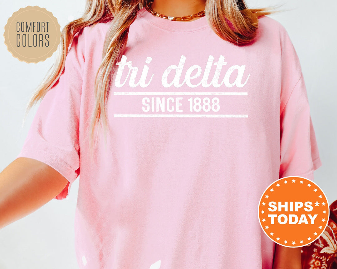 Delta Delta Delta Faded Traditional Sorority T-Shirt | Tri Delta Oversized Shirt | Big Little | Comfort Colors Shirt  _ 7186g