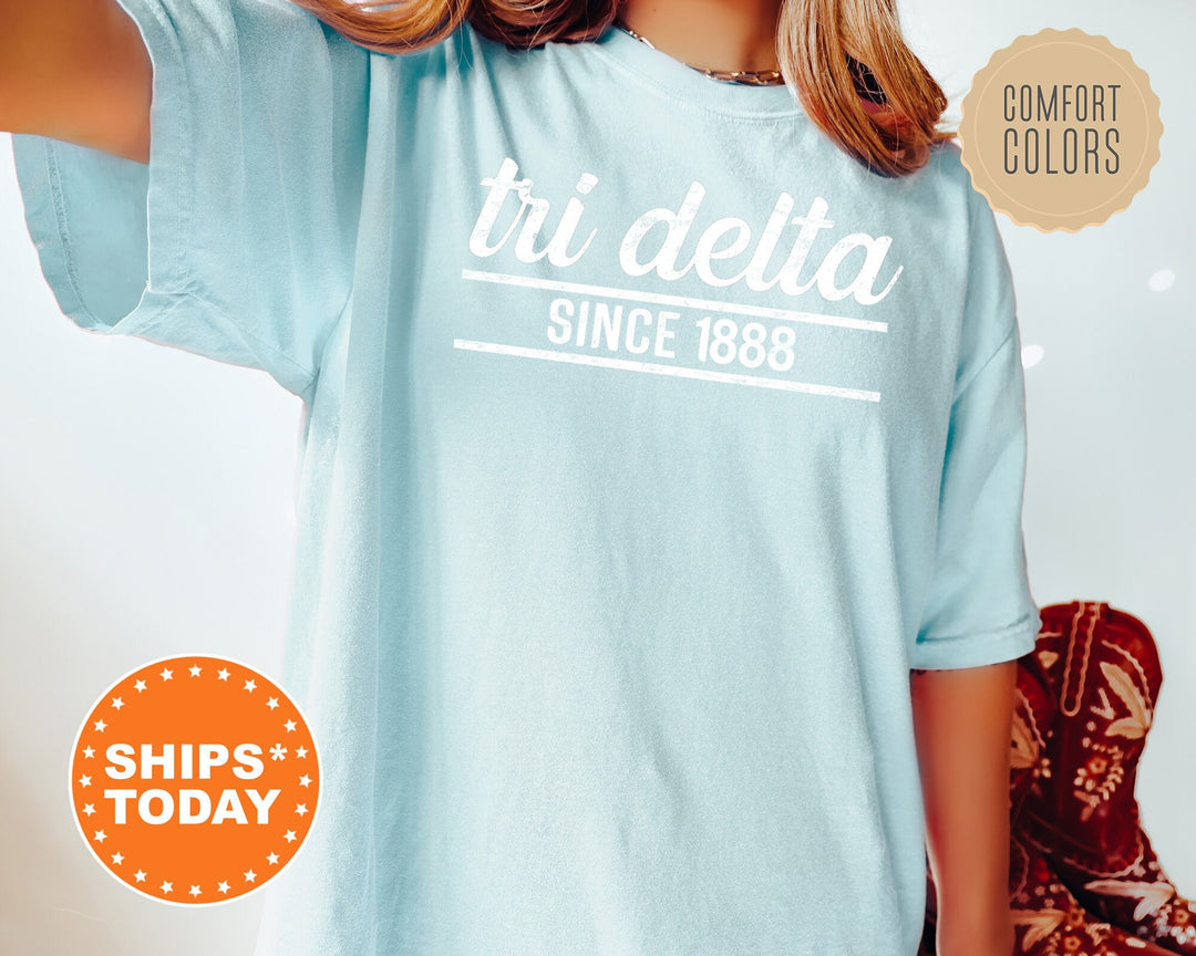 Delta Delta Delta Faded Traditional Sorority T-Shirt | Tri Delta Oversized Shirt | Big Little | Comfort Colors Shirt  _ 7186g