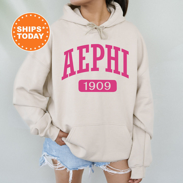 Alpha Epsilon Phi Pink Baseball Sorority Sweatshirt | Alpha Epsilon Phi Sweatshirt | AEPHI Sorority Hoodie | Big Little Reveal Gift