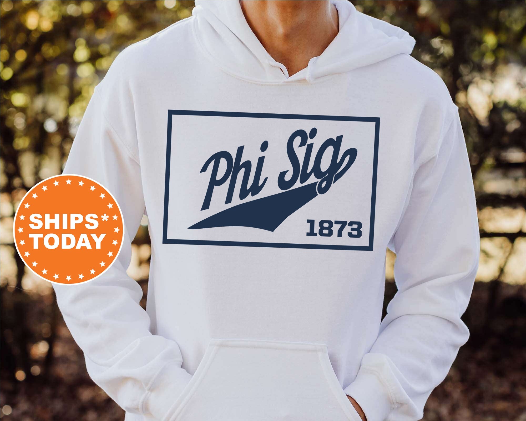 Kite and Crest Phi Sigma Kappa Baseball Boxed Fraternity Sweatshirt Phi Sig Sweatshirt Fraternity Gift Gameday Sweatshirt College Apparel 5971g Sport Grey