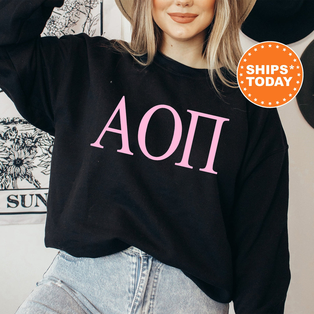 Alpha Omicron Pi Just the Letters Sorority Sweatshirt | Alpha O Greek Letters | Sorority Letters | Big Little Reveal | Greek Apparel 5134g