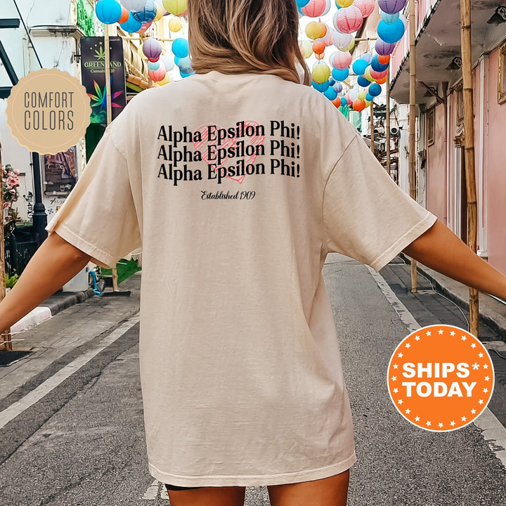 Alpha Epsilon Phi Balloon Bliss Sorority T-Shirt | Sorority Merch | Big Little Shirt | AEPHI Comfort Colors Shirt _ 13686g
