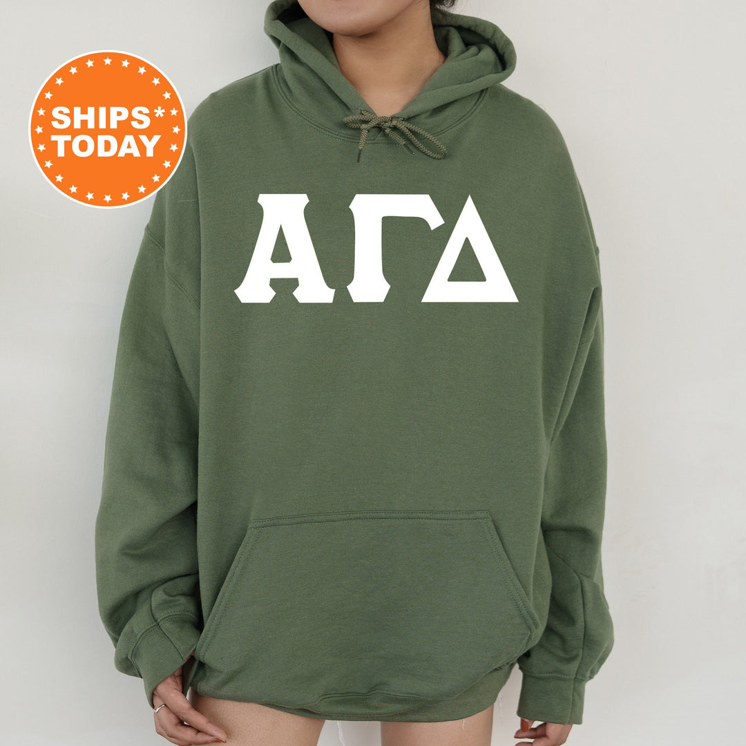 Alpha Gamma Delta Basic Letters Sorority Sweatshirt | Alpha Gam Hoodie | Greek Letters | Big Little Reveal Gift | Sorority Letters