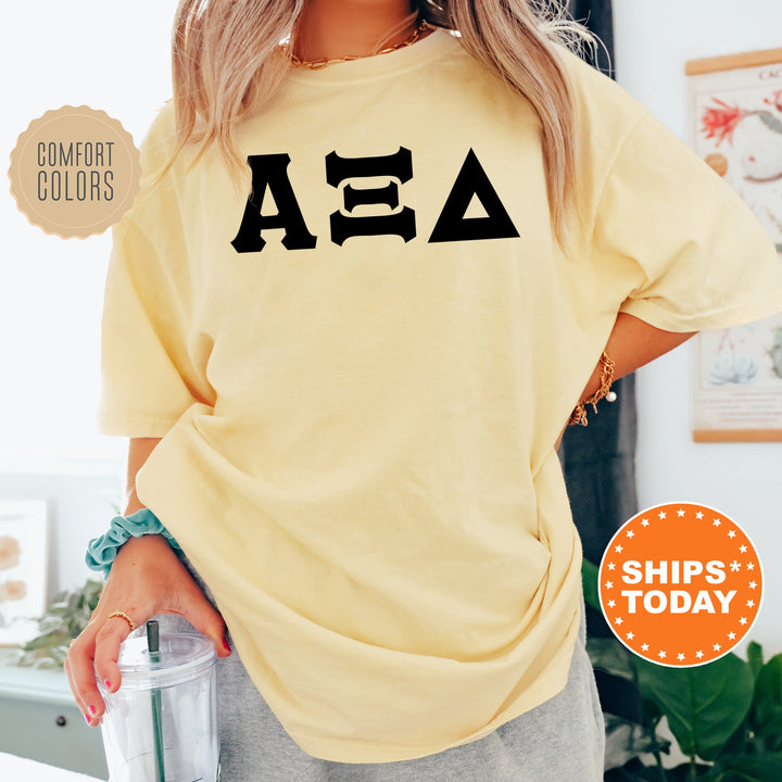 Alpha Xi Delta Super Simple Sorority T-Shirt | AXID Sorority Letters | Alpha Xi Greek Letters | Big Little Gift | Comfort Colors _ 5645g