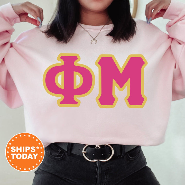 Phi Mu Pink and Gold Sorority Sweatshirt | Phi Mu Crewneck Sweatshirt | Phi Mu Greek Letters | Phi Mu Hoodie | Big Little Reveal _ 5278g