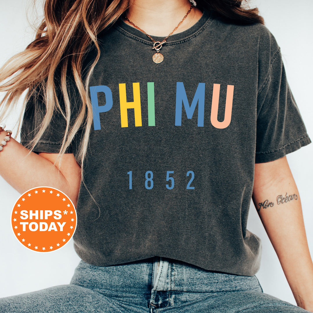 Phi Mu Retro and Year Sorority T-Shirt | Phi Mu Sorority Merch | Big Little Gift | Custom Greek Apparel | Comfort Colors Shirt _ 8234g