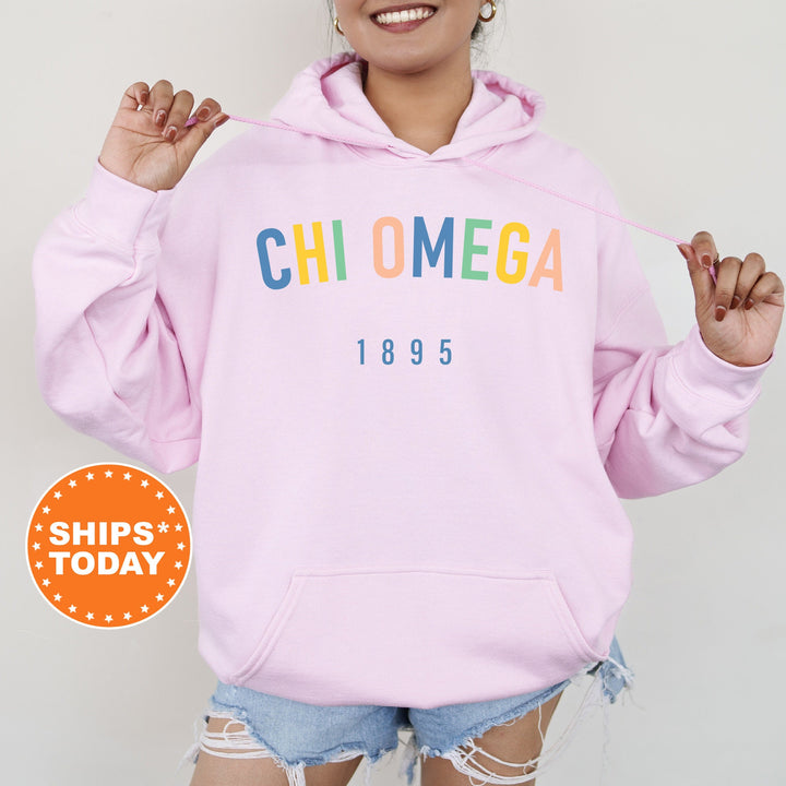 Chi Omega Retro and Year Sorority Sweatshirt | Chi O Retro Sweatshirt | Chi Omega Hoodie | Big Little Reveal | Sorority Gifts _ 8225g