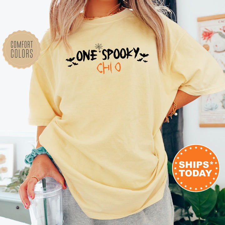 One Spooky Chi O | Chi Omega Halloween Sorority T-Shirt | Comfort Colors Shirt | Big Little Reveal Sorority Gift | Greek Apparel _ 17116g