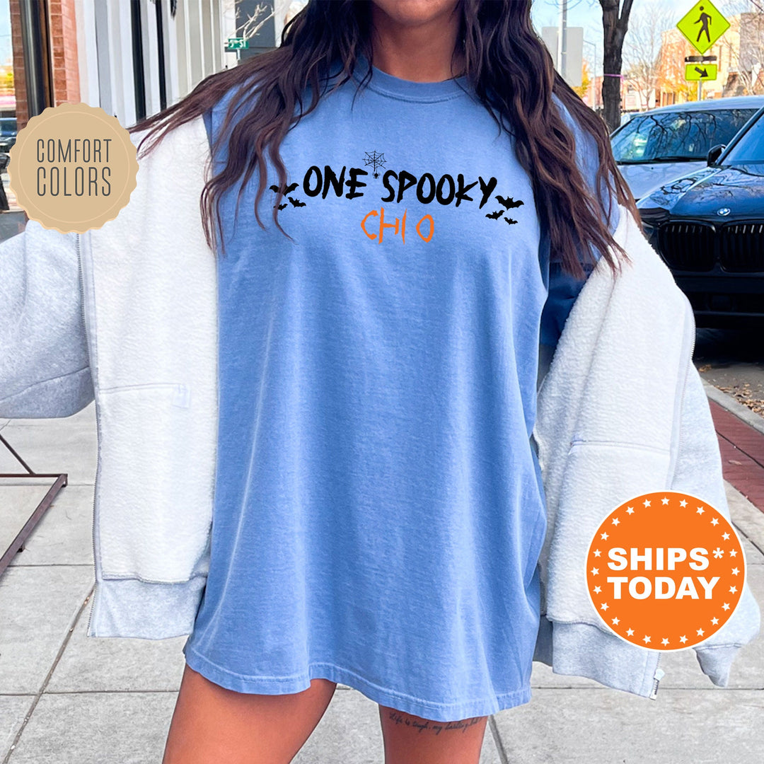 One Spooky Chi O | Chi Omega Halloween Sorority T-Shirt | Comfort Colors Shirt | Big Little Reveal Sorority Gift | Greek Apparel _ 17116g