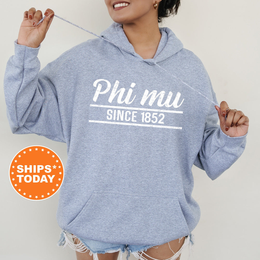 Phi Mu Faded Traditional Sorority Sweatshirt | Phi Mu Sorority Hoodie | Big Little Reveal | Sorority Gifts | Greek Sweatshirt _ 7194g