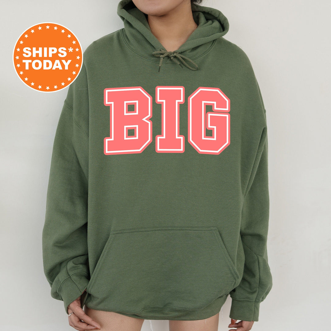 Big Little Scarlet Letters Sorority Sweatshirt | Big Little Sweatshirt | Big Little Family | Gbig GGbig Sweatshirt | Sorority Reveal _ 32