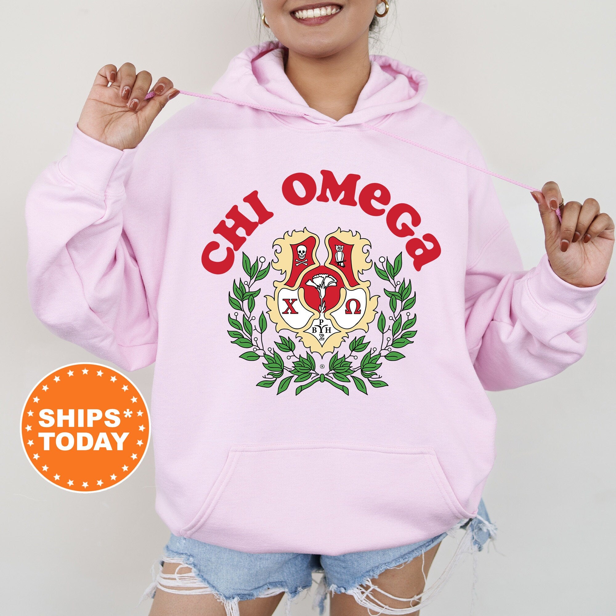 Chi Omega Crest Legacy Sorority Sweatshirt Chi Omega Crest Sweatshirt Chi O Big Little Sorority Gift College Greek Apparel