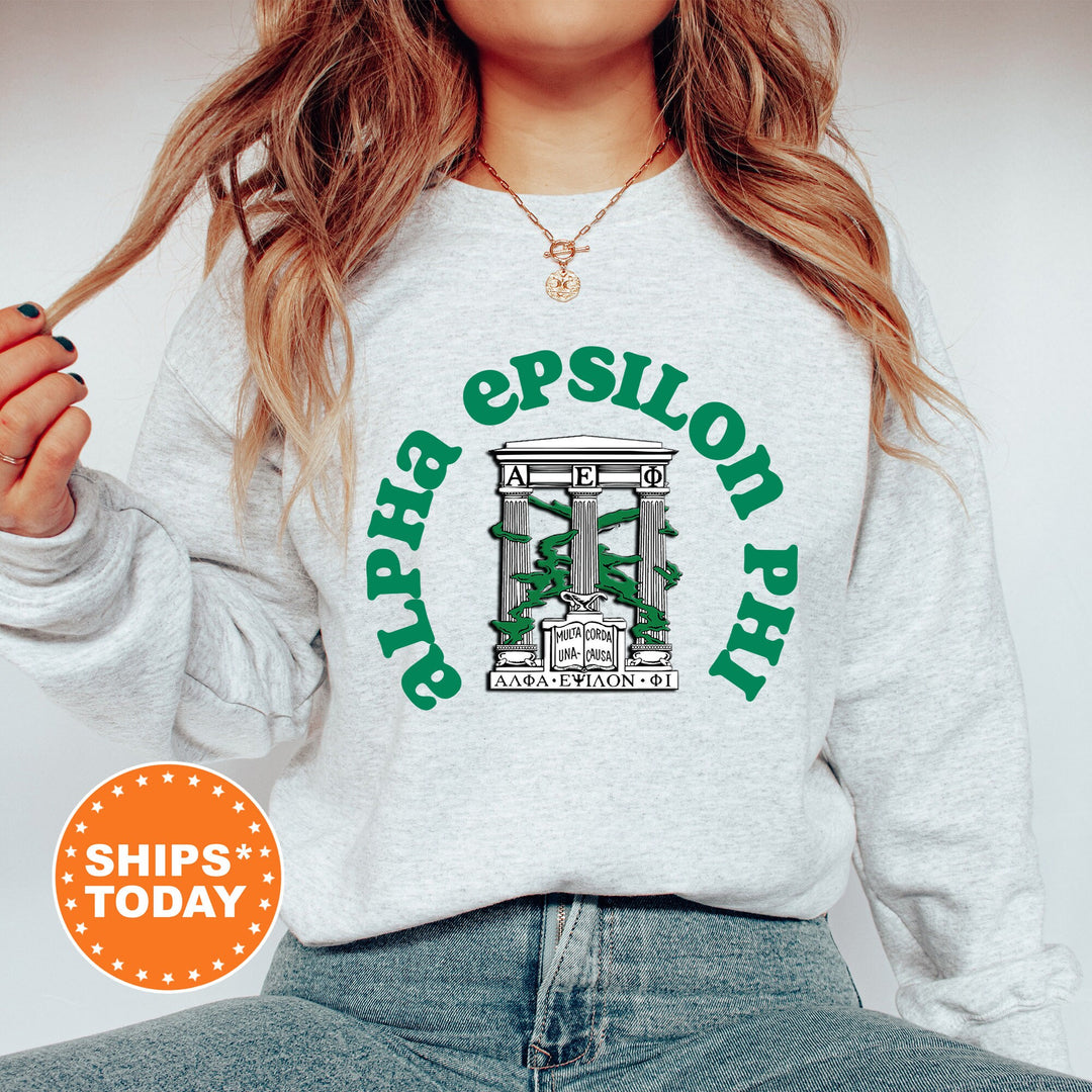 Alpha Epsilon Phi Crest Legacy Sorority Sweatshirt | AEPHI Crest Sweatshirt | Big Little Sorority Gift | College Greek Apparel