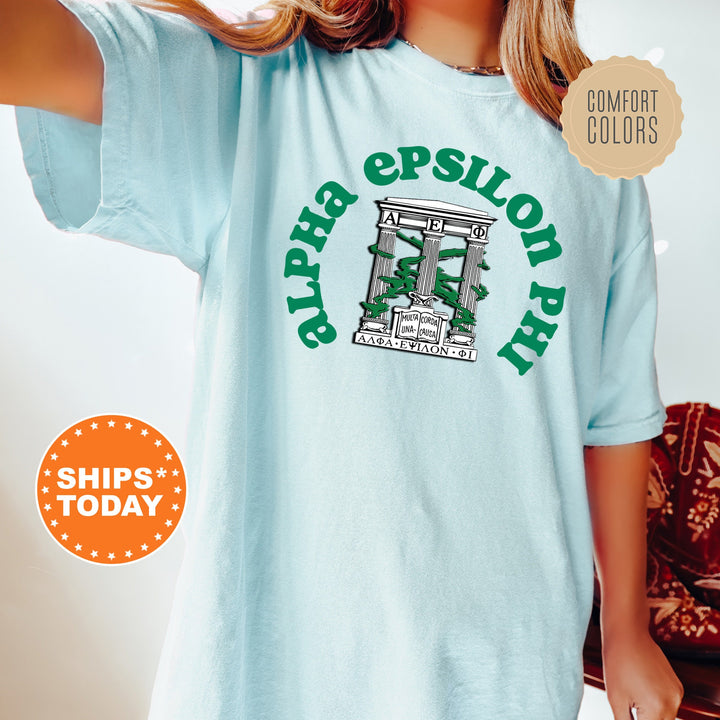 Alpha Epsilon Phi Crest Legacy Sorority T-Shirt | AEPhi Crest Shirt | Big Little Reveal Gift | Sorority Merch | Comfort Colors Tee _ 17337g