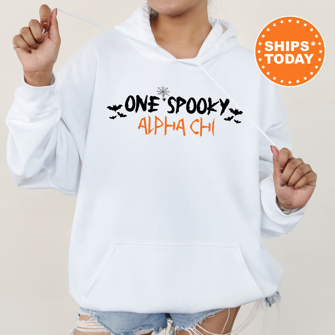 One Spooky Alpha Chi | Alpha Chi Omega Halloween Sorority Sweatshirt | Big Little Reveal Gift | Sorority Merch | Greek Apparel _  17107g