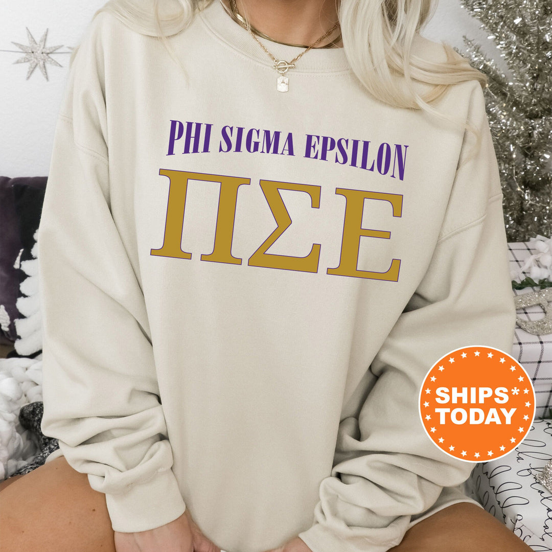 Pi Sigma Epsilon Greek Identity COED Sweatshirt | Pi Sigma Epsilon Sweatshirt | Greek Letters | Sorority Letters | Greek Apparel _ 15426g